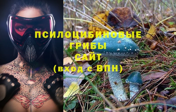 COCAINE Белокуриха