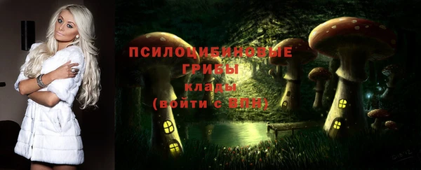 COCAINE Белокуриха