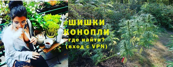 сатива Белоозёрский