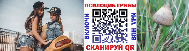 Галлюциногенные грибы мухоморы  Бор 