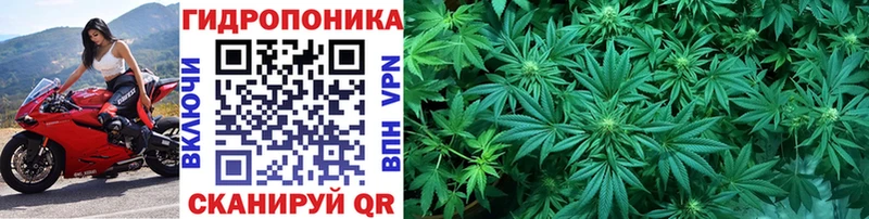 Бошки Шишки тримм  Бор 